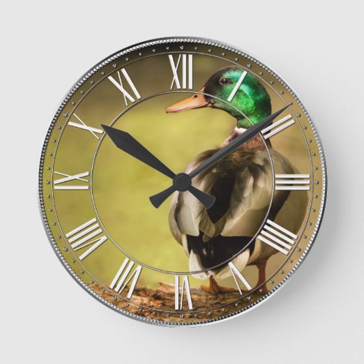 Mallard Duck Runde Wanduhr (Vorderseite)
