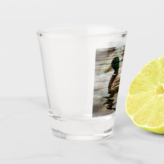 Mallard Duck Schnapsglas (Links)