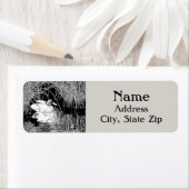 Mallard Duck Schwarz-weißer See Bird in Reeds (Insitu)