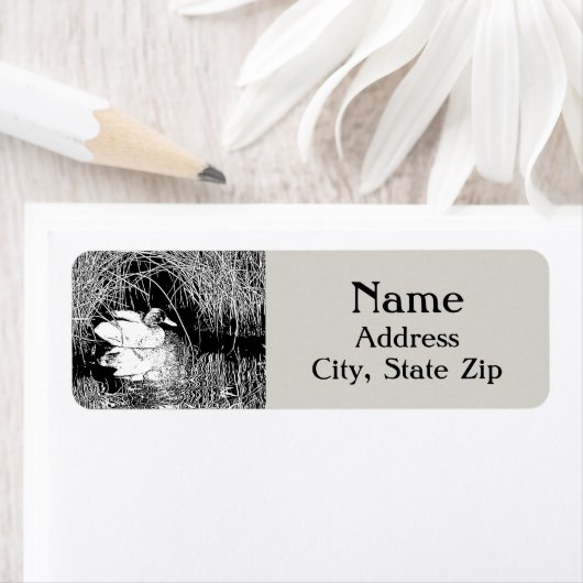 Mallard Duck Schwarz-weißer See Bird in Reeds (Insitu)