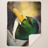 MALLARD DUCK SHERPADECKE (Vorderseite)