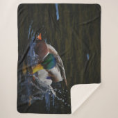 MALLARD DUCK SHERPADECKE (Vorderseite)