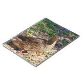 Mallard Duck Spiral Foto Notebook Notizblock (Linke Seite)