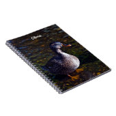Mallard Duck Spiral Notebook Notizblock (Rechte Seite)