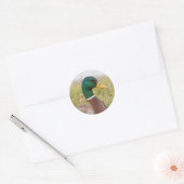 Mallard Duck Stickers (Umschlag)