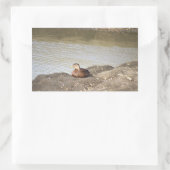 Mallard Duck Stickers (Tasche)