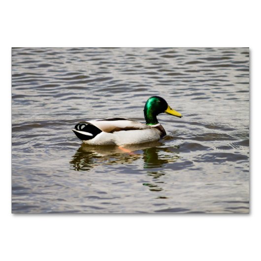 Mallard Duck Tischnummer (Vorderseite)