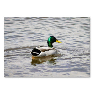 Mallard Duck Tischnummer