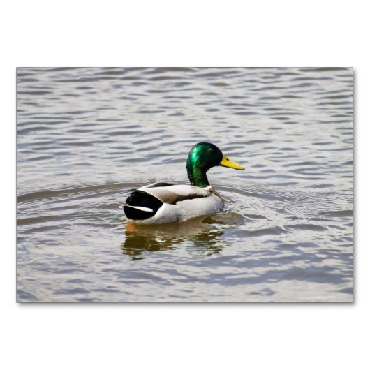 Mallard Duck Tischnummer (Vorderseite)