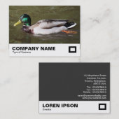 Mallard Duck Visitenkarte (Vorne/Hinten)