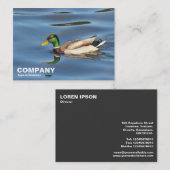 Mallard Duck Visitenkarte (Vorne/Hinten)