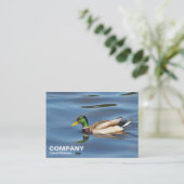Mallard Duck Visitenkarte (Stehend Vorderseite)