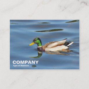 Mallard Duck Visitenkarte