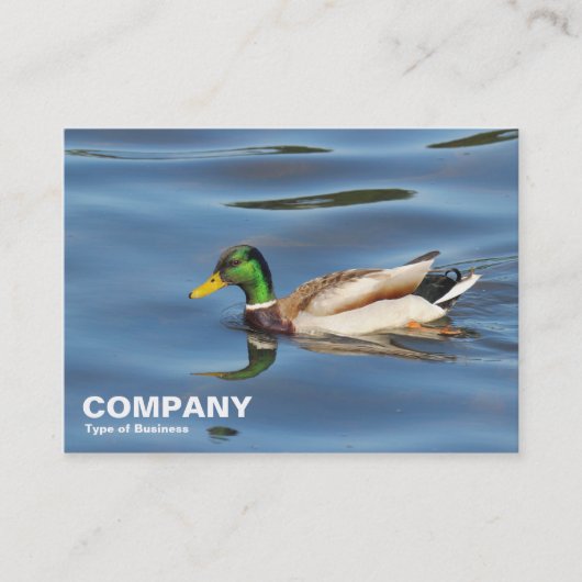 Mallard Duck Visitenkarte (Vorderseite)