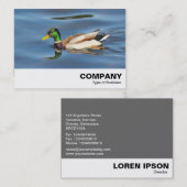 Mallard Duck Visitenkarte (Vorne/Hinten)