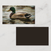 Mallard Duck Visitenkarte (Vorne/Hinten)