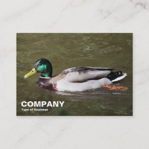Mallard Duck Visitenkarte