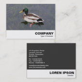 Mallard Duck Visitenkarte (Vorne/Hinten)