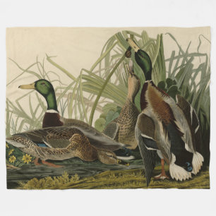 Mallard Duck von Audubon's Birds of America Fleecedecke