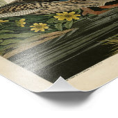 Mallard Duck von Audubon's Birds of America Fotodruck (Ecke)