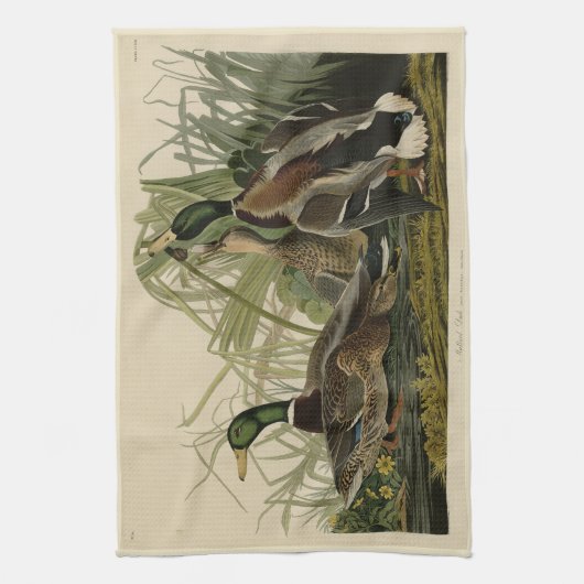 Mallard Duck von Audubon's Birds of America Geschirrtuch (Vertikal)