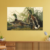 Mallard Duck von Audubon's Birds of America Leinwanddruck (Insitu (Wohnzimmer))