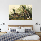 Mallard Duck von Audubon's Birds of America Leinwanddruck (Insitu (Schlafzimmer))