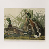 Mallard Duck von Audubon's Birds of America Puzzle (Horizontal)