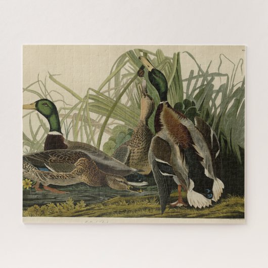 Mallard Duck von Audubon's Birds of America Puzzle (Horizontal)