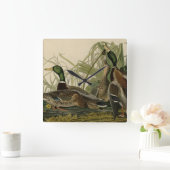 Mallard Duck von Audubon's Birds of America Quadratische Wanduhr (Zuhause)