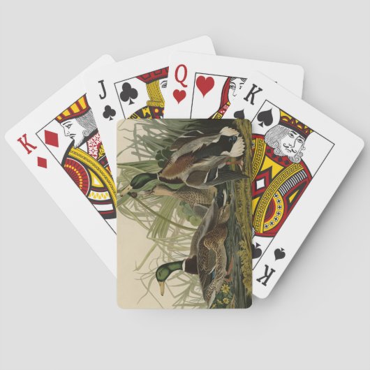 Mallard Duck von Audubon's Birds of America Spielkarten (Rückseite)