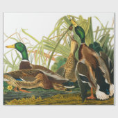Mallard Duck von John James Audubon Geschenkpapier (Flach)