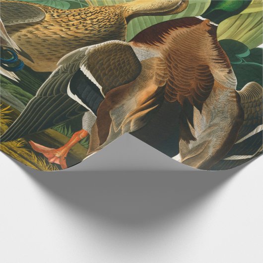 Mallard Duck von John James Audubon Geschenkpapier (Ecke)