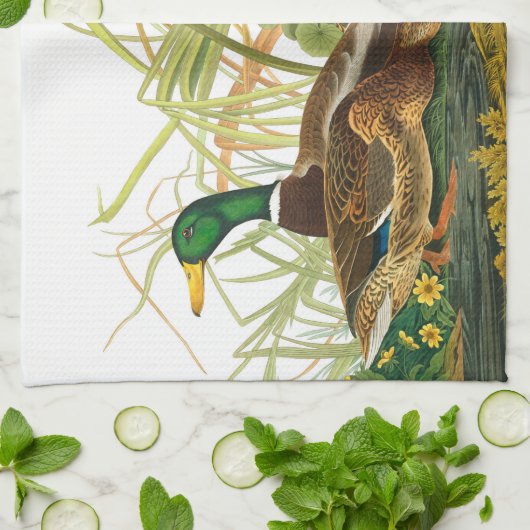 Mallard Duck von John James Audubon Geschirrtuch (Gefaltet)
