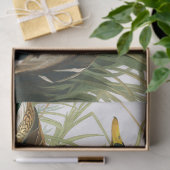 Mallard Duck von John James Audubon Seidenpapier (Geschenk)