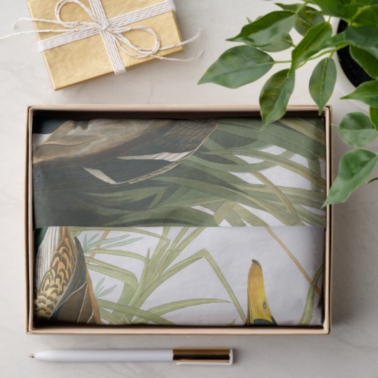 Mallard Duck von John James Audubon Seidenpapier (Geschenk)