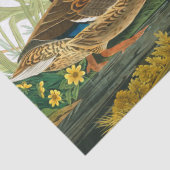 Mallard Duck von John James Audubon Seidenpapier (Detail)