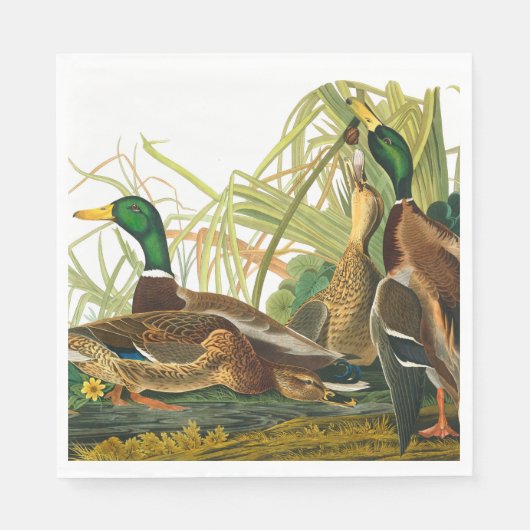 Mallard Duck von John James Audubon Serviette (Vorderseite)