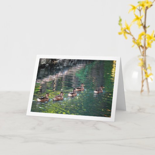 Mallard Duck Water Reflection Portrait Karte (Gelbe Blume)