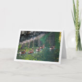 Mallard Duck Water Reflection Portrait Karte (Vorderseite)