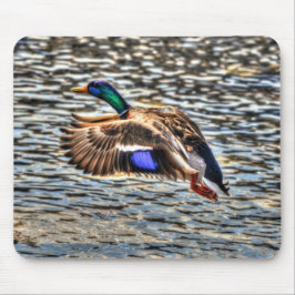 Mallard Duck Wildlife Foto für Vogelliebhaber Mousepad