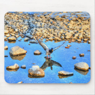 Mallard Duck Wildlife Foto für Vogelliebhaber Mousepad