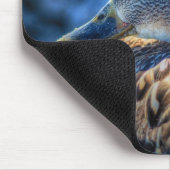 Mallard Duck Wildlife Foto für Vogelliebhaber Mousepad (Ecke)