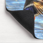 Mallard Duck Wildlife Foto für Vogelliebhaber Mousepad (Ecke)