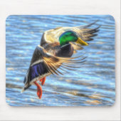 Mallard Duck Wildlife Foto für Vogelliebhaber Mousepad (Vorne)