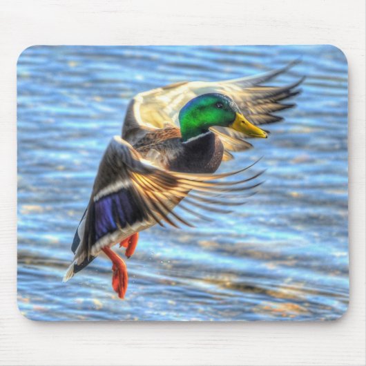 Mallard Duck Wildlife Foto für Vogelliebhaber Mousepad (Vorne)