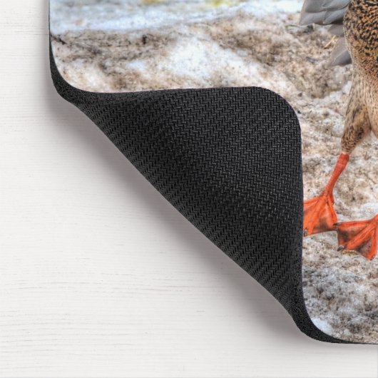 Mallard Duck Wildlife Foto für Vogelliebhaber Mousepad (Ecke)
