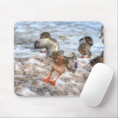 Mallard Duck Wildlife Foto für Vogelliebhaber Mousepad (Mit Mouse)