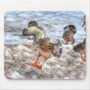 Mallard Duck Wildlife Foto für Vogelliebhaber Mousepad