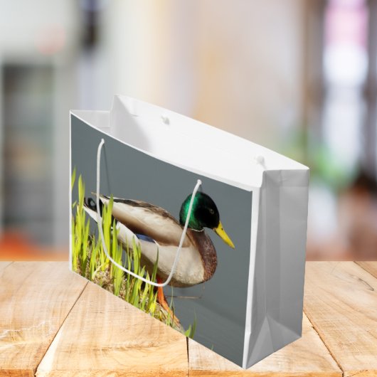 Mallard Duck Wildlife Foto Große Geschenktüte